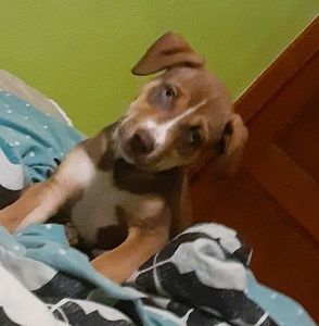 Meet your Posher, Quinn